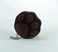 Cat paw black with spots